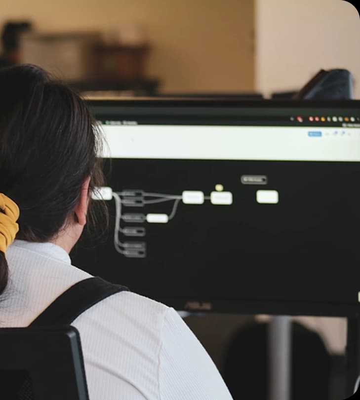 IT development